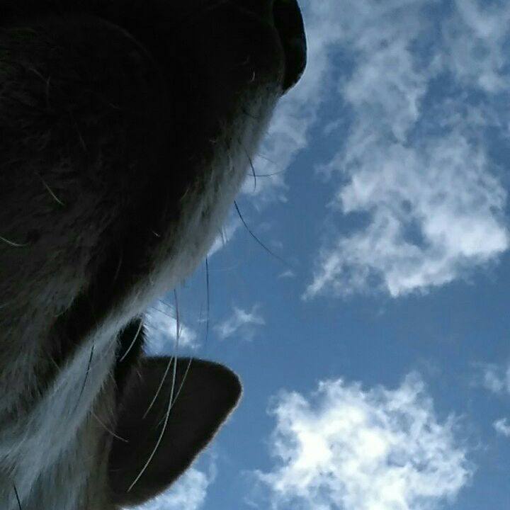 1196c97a 22a3 48d2 9f0d 19975bb7f971 1539908871306