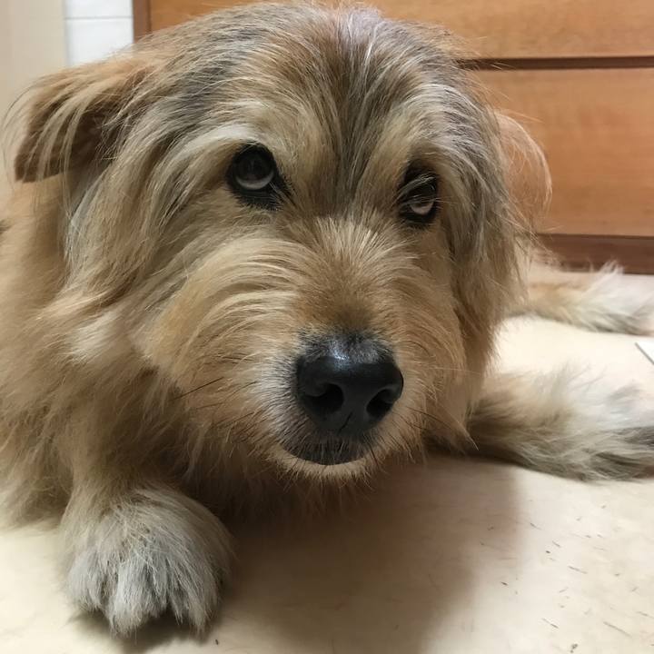 1196e197 bc45 4cce be1c 0296ab6ad581 1622502702955