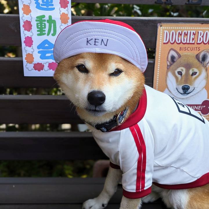 1196f358 cf6d 41f9 8133 5baf3690096c 1700272534841