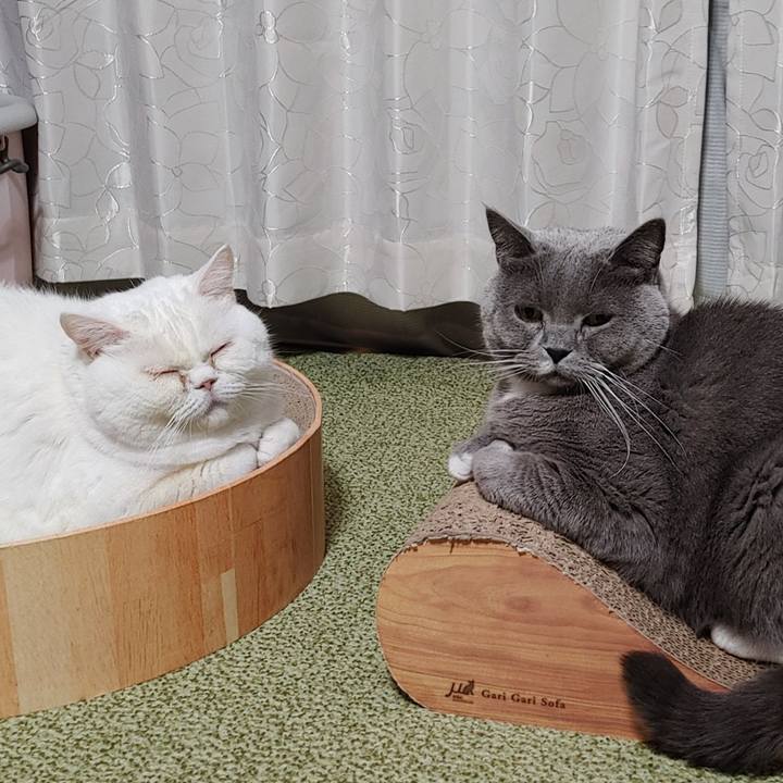 11970082 5180 4c47 a602 bb5c6844804a 1668715139919