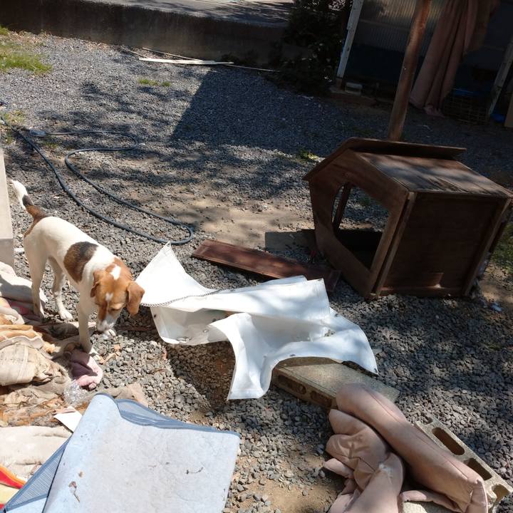 119761af c38f 4567 9799 2f621fe1e118 1588126399559