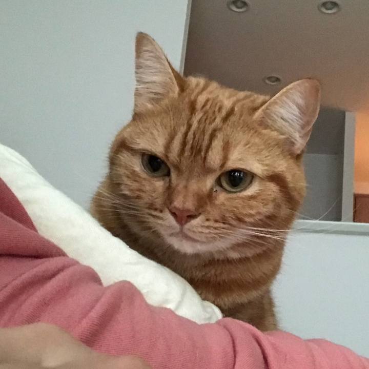 11976be0 4757 43f5 a5b1 e803ad401d12 1540159721942