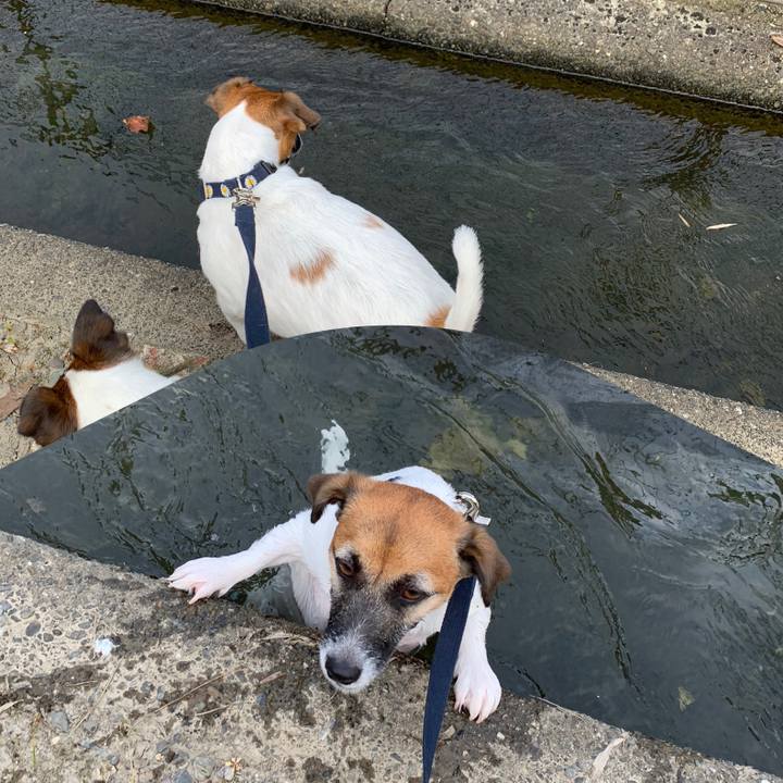 1197aea8 51c7 4edf a500 ec036b8ac3a4 1597047769727