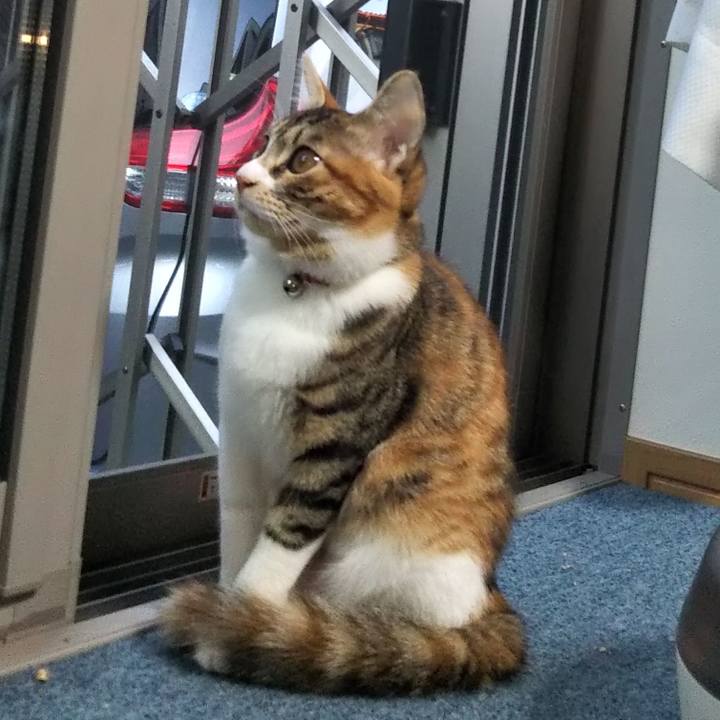 1197c781 d72b 45ef 8224 99f4c2d3c4ef 1636582207703