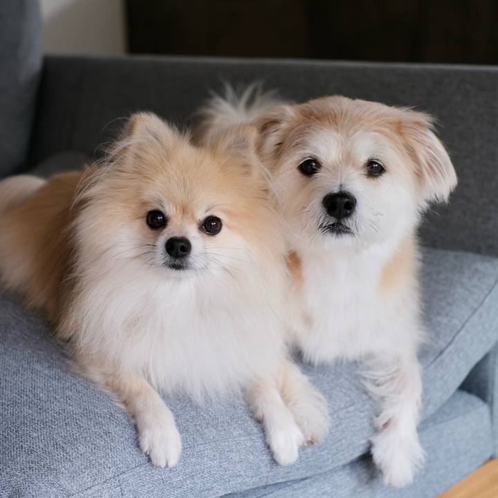 1197f718 b4e0 4988 8f9d 97d9a99aaaae 1758232093551