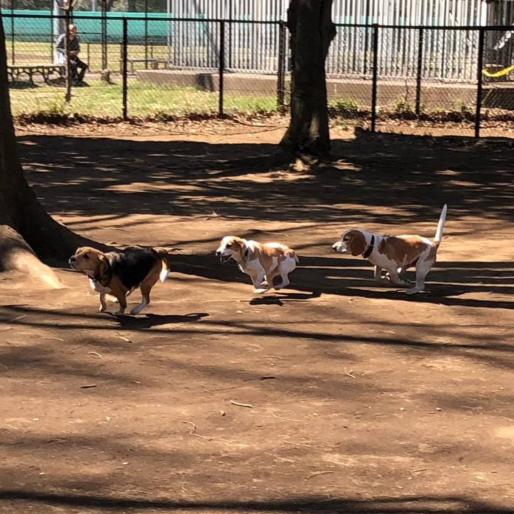 119814a6 c4e5 4cc6 90c8 20ff77eb6dd5 1553467657631