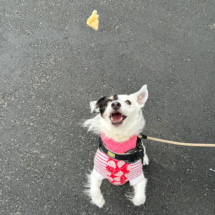 11982bd3 51cd 47f2 a91f aa46821ee7a1 1773104409018