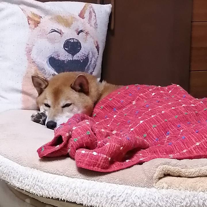 11983483 9cc0 4ab6 ba99 15ba23d441e3 1632407733528