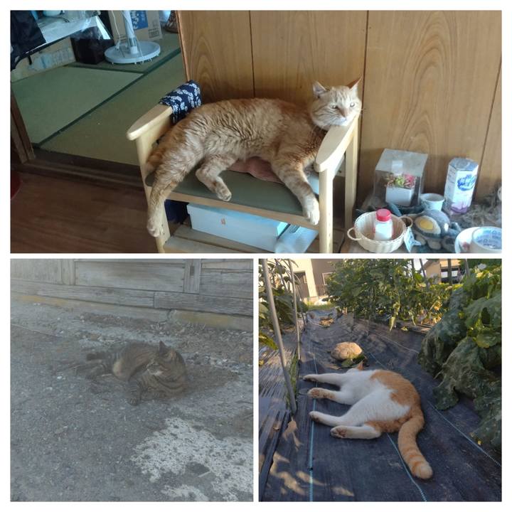 1198400e ea13 4915 989b 0fcf8b7703c3 1750153731644