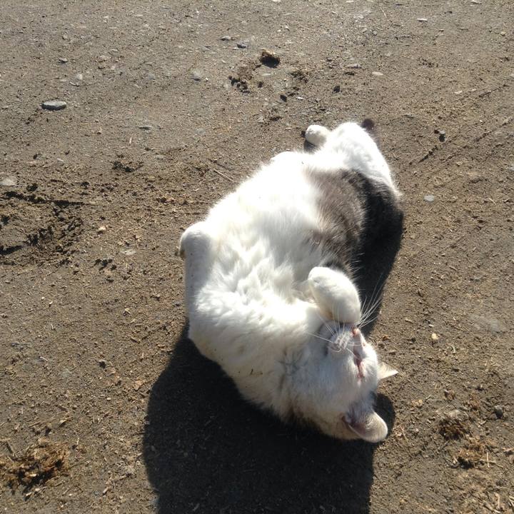 1198469c bd66 4dcc a5f6 2782705895c8 1552105883405