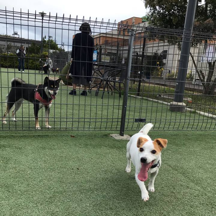 1198d9e5 6092 4340 832c 3d90bdc0beee 1574504735238