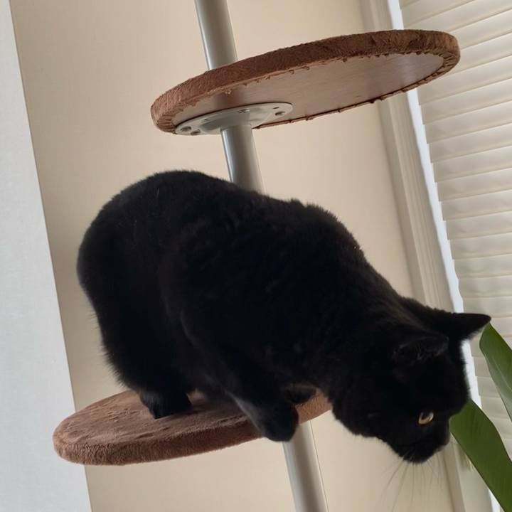 1198e61b 42b5 4694 a0a7 c365f5160f1f 1629621755070