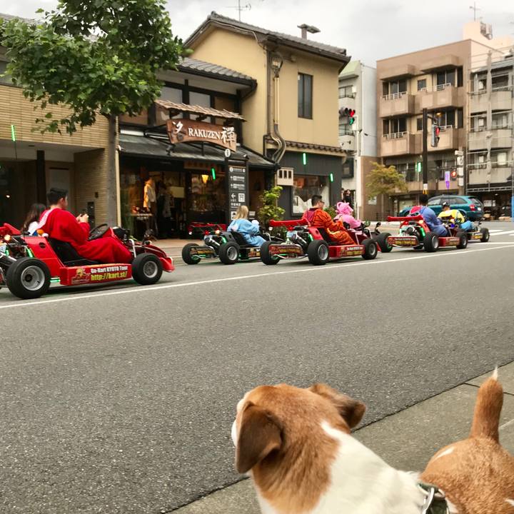 1198f2c0 9f31 48d7 848d 6f62b2e6c51f 1537184545818