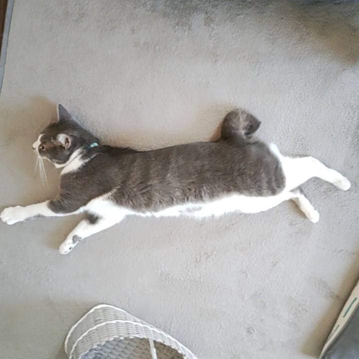 1199012d 5daf 476c ab5c 7e1e8a5d6699 1660083521027