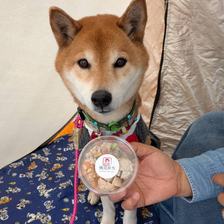 11997547 7df7 4ca0 8dd9 9b9efed67c99 1741618451886