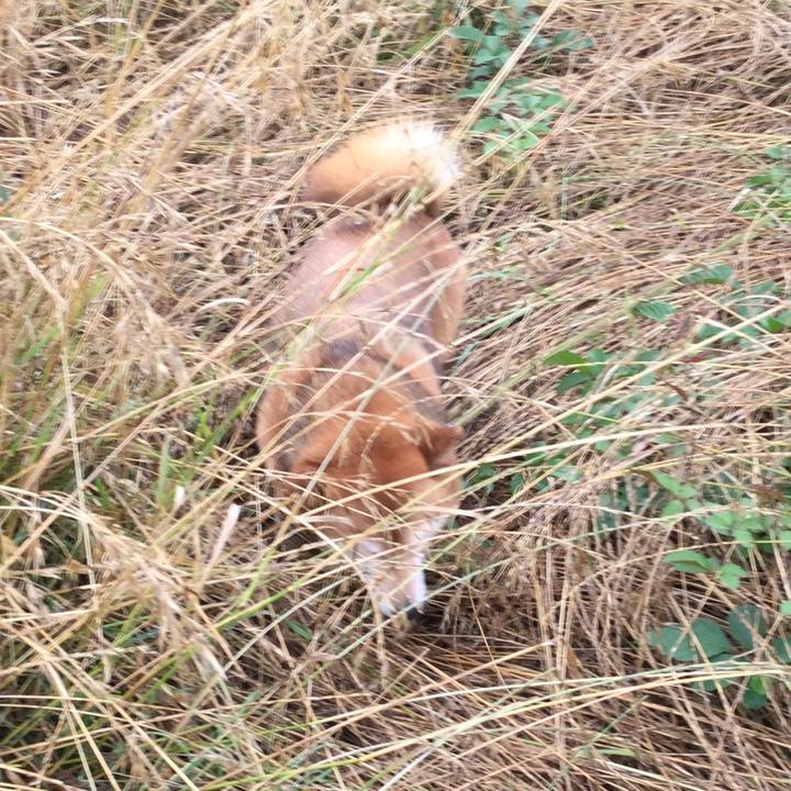 1199aa8f afe4 41a9 b1cf bbb68a2233fc 1593055127389