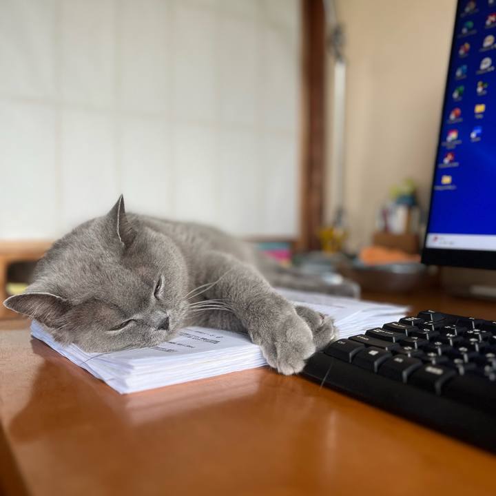 1199aae1 3d25 4964 b371 1ed45f811064 1719630466447