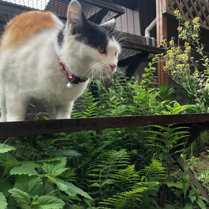 1199dc16 5395 452b bf16 b467505fea36 1617880997770