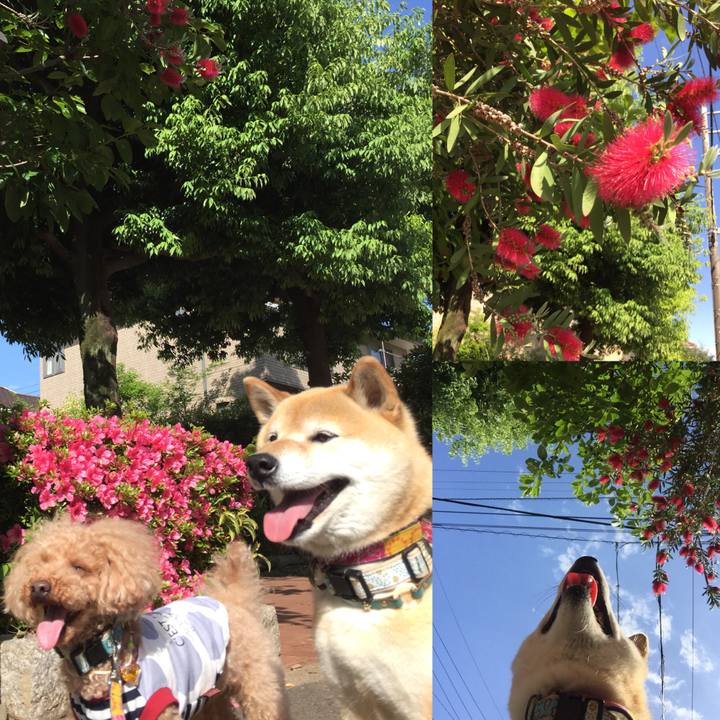 1199ed16 ffb6 4c7b 9e0e 22383aac91fe 1526719330779