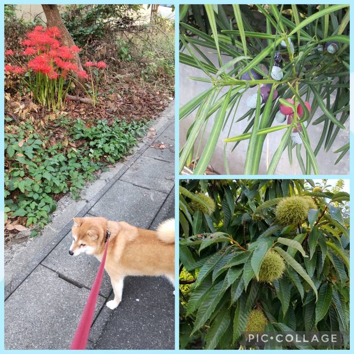 1199f37b 7108 44f5 b194 e09d1460e182 1759194725747