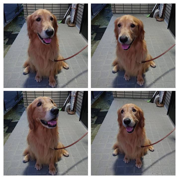 119a1962 43c8 4c36 9959 6fa911ca1861 1573897558082