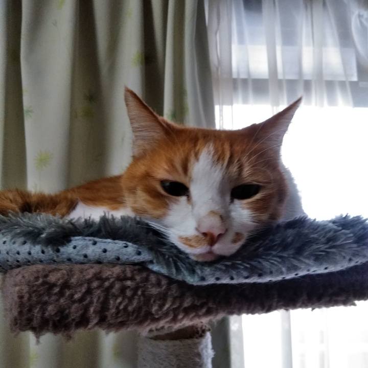 119a3441 46cc 4a3c 9eab f1a8305088cb 1584486449645