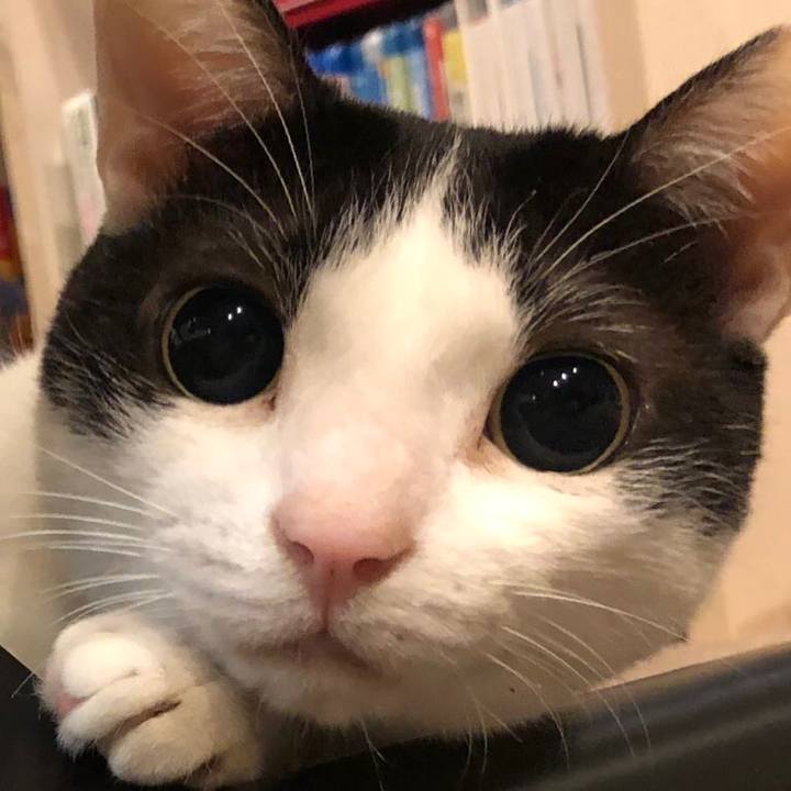 119a7e30 a1eb 468f a439 25870ed20274 1652788881152