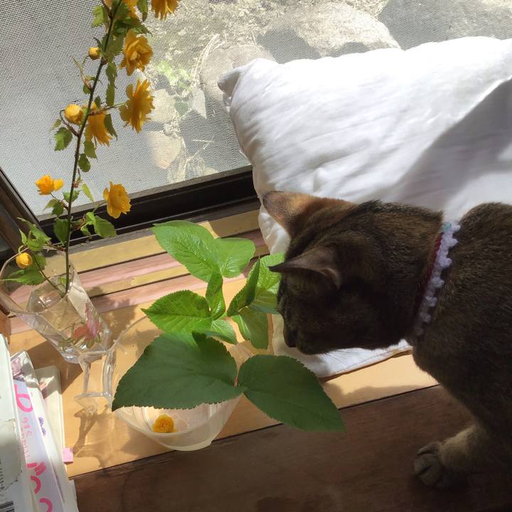 119ab269 395a 491c 8986 09dcbabe2df7 1587615058360