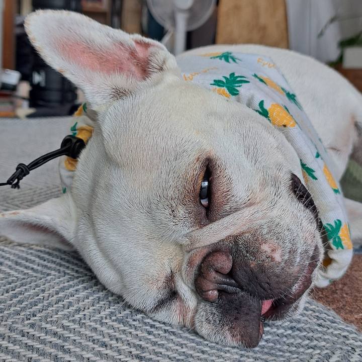 119b5a9a 82a3 4255 9afa 531246e952cb 1721033890337