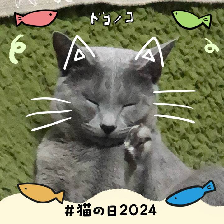 119b7687 02cf 4938 b3f2 7ce9a9e93cd6 1708579003002