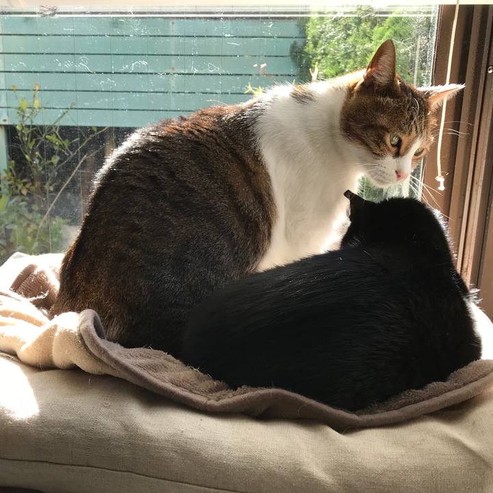 119b86c7 1b01 4403 a162 d588439c8079 1512619311238