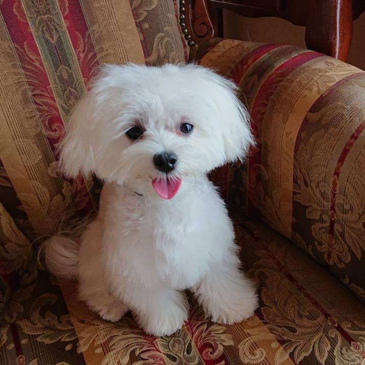 119bb586 c48c 448b a74b 0b47d3822e57 1566445559266