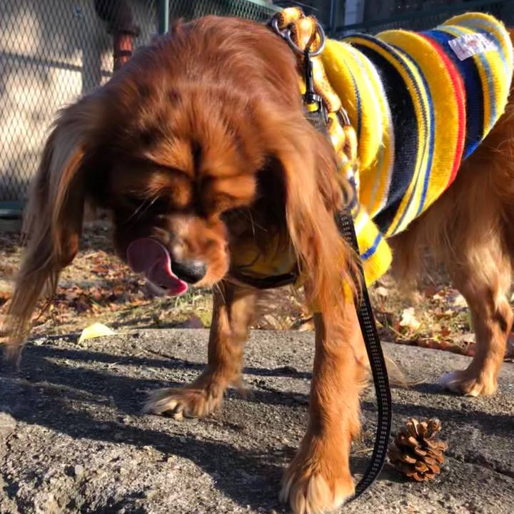 119bf9a7 ee7a 4047 92be 376eb4d09417 1576534811784