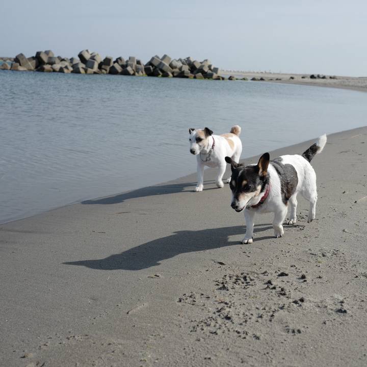 119c8743 b32c 4c5e 95a9 82397e466341 1558151930855