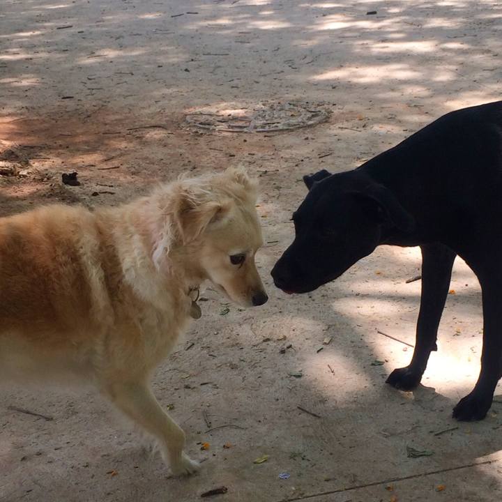 119cce69 0f02 411d 930d 9457ffb0e508 1513440784740