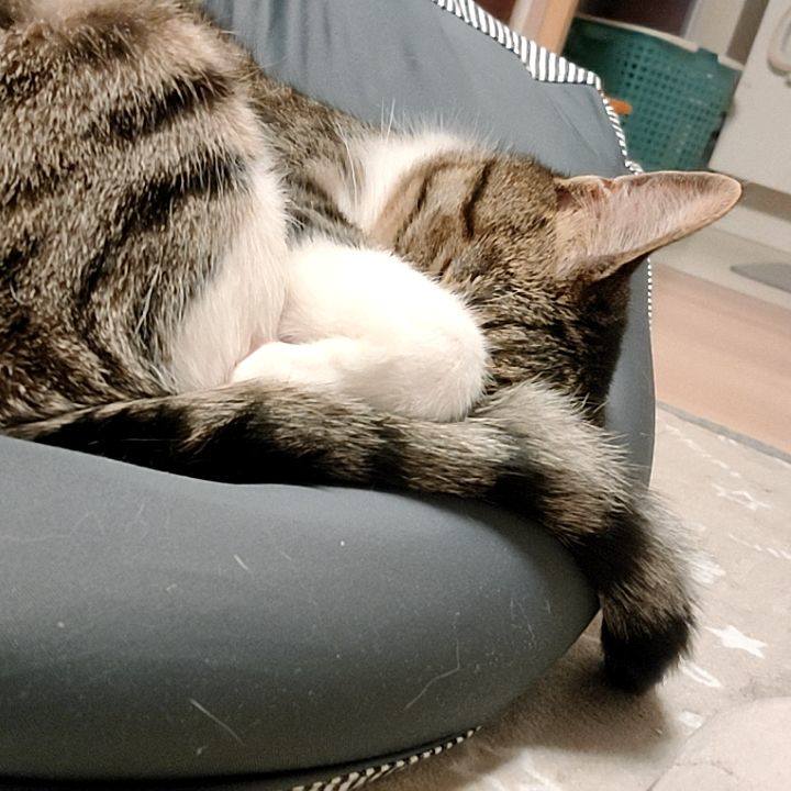 119d099c af5e 44e7 8ddd 2e89ff5135dd 1680776625727