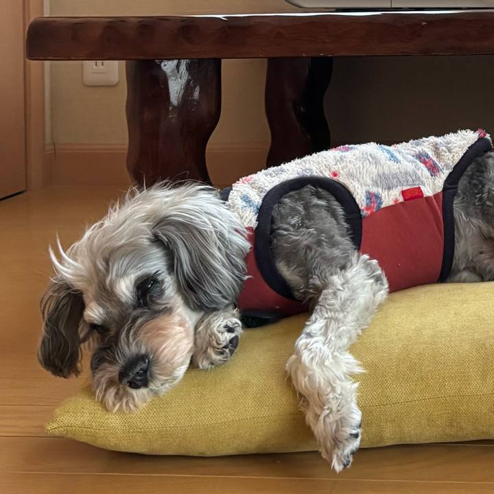 119d9e5c 404a 42c2 93e8 e384fe312571 1763010992833