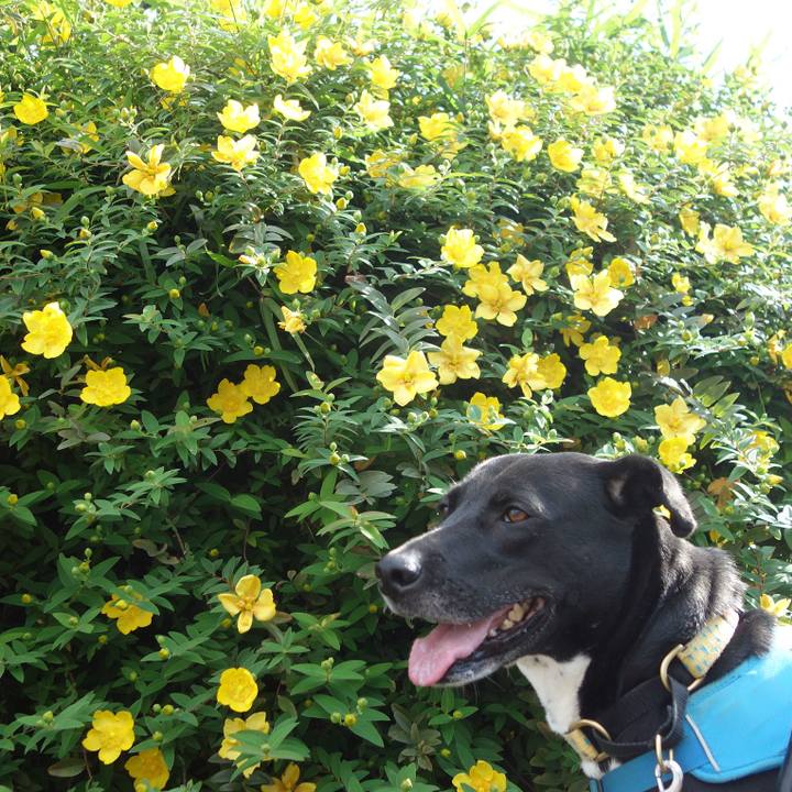 119dd176 bf4c 44e9 8ee5 b90b6bab4567 1621814011007