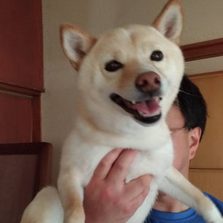 119de27f 9dec 4eae aea4 ac62f9289591 1591393996647