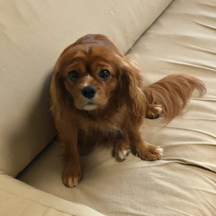 119e4e87 2d63 432f af27 136133cc63d9 1597788676898