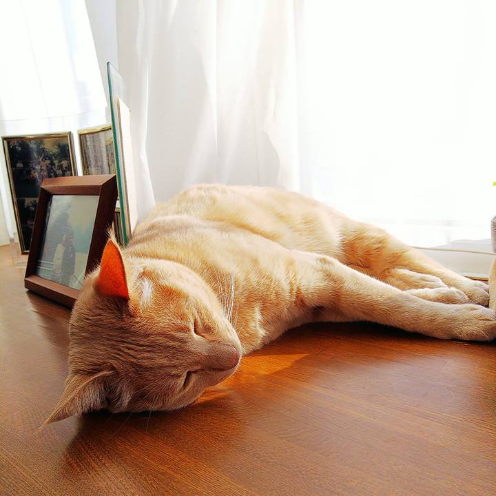 119e4ee4 da85 45dd 98e8 3e819d255cc0 1610242831271