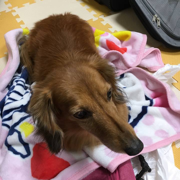 119e5655 3850 4039 af7c 648b8ff57c21 1571060525307