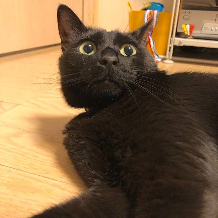 119e5b86 69f0 420c 8761 b9d4c90f5681 1517918523701