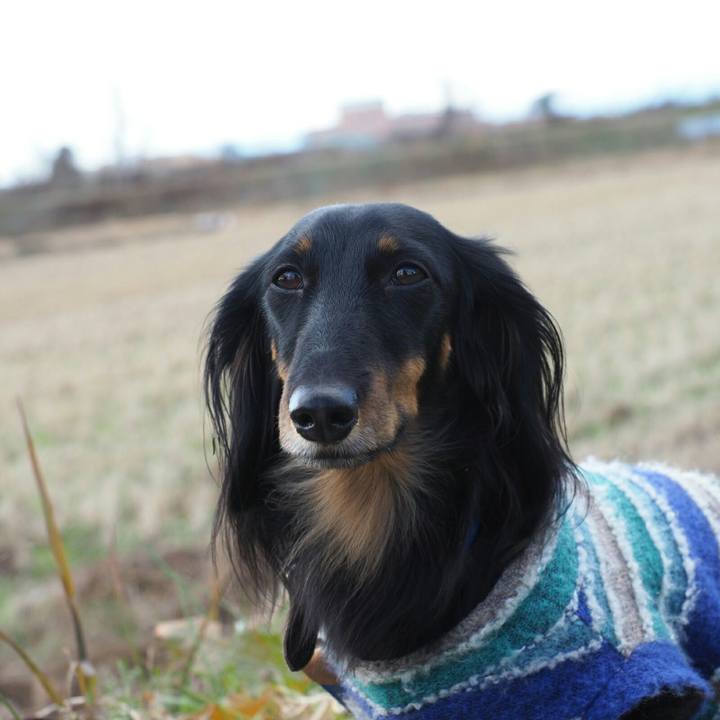 119e689c f545 4385 be1c b58f36769584 1547086919033