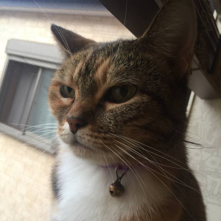 119e8313 5d43 44ea a6b2 c1fa925fdb8f 1567629889672