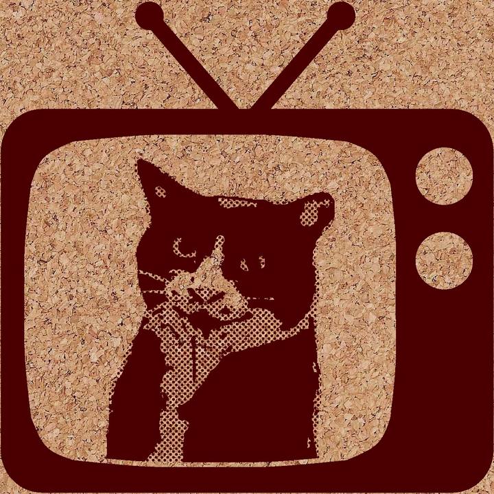 119eb8b4 6b4f 4c2a b9b6 e58a8b1f14cf 1748120513991