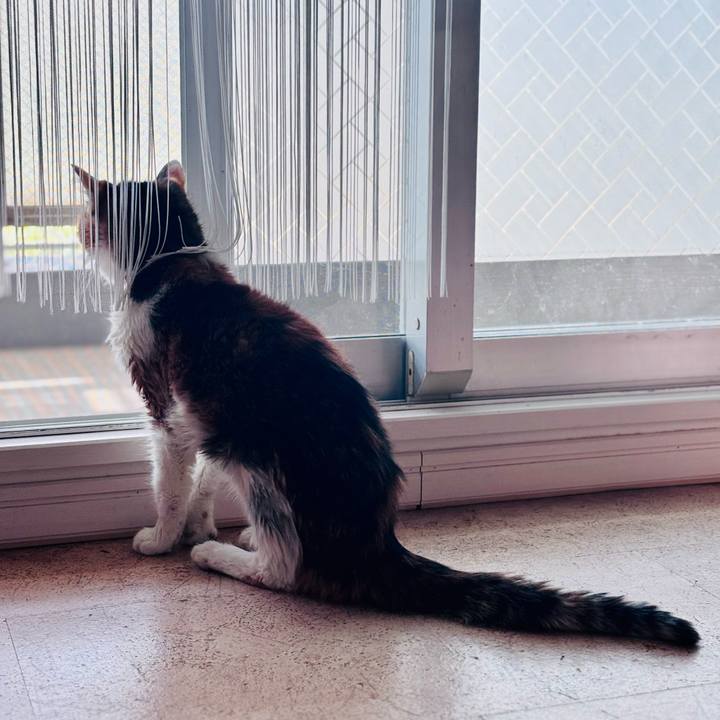 119ee851 bc57 4034 b434 7534ca22487b 1745719059372