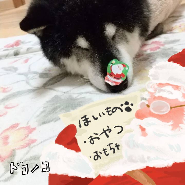 119eedff 8973 43d2 bd11 f90978381a54 1730533679405
