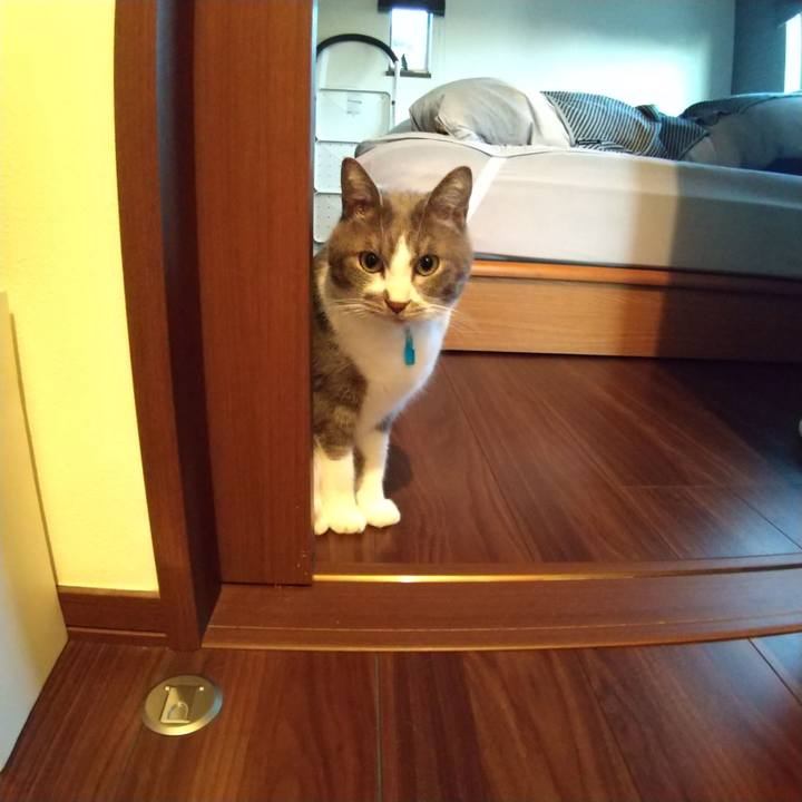 119f0d37 2433 4080 a73e 723f537a8c6f 1645396040370