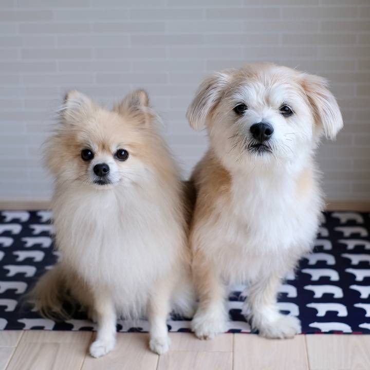 119f2069 1041 4421 a2a4 c2cd08aaba23 1759269436962